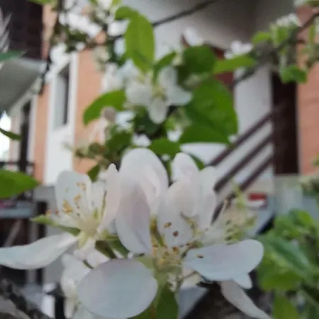 Hébergement de vacances Srdica Kuca